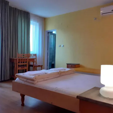 Guest house Roza -